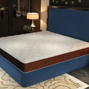 تشک 4 ستاره طبی ریباند